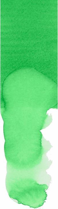 Produktbild Faber-Castell Dual Marker Goldfaber Aqua (Leaf Green, 1 x)