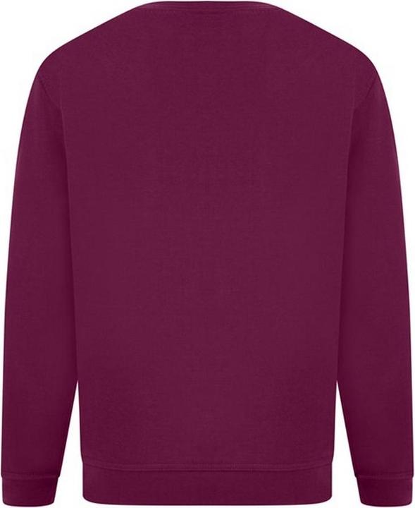 Image du produit Absolute Apparel Pull-over Sterling (3XL)