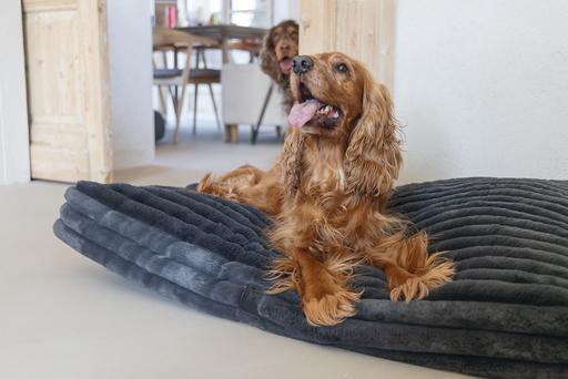 Image du produit Designed by Lotte Coussin de repos Reza (Chien)