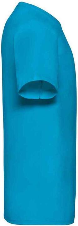 Actual product image Fruit of the Loom Mens Valueweight V Neck T-Shirt (3XL)