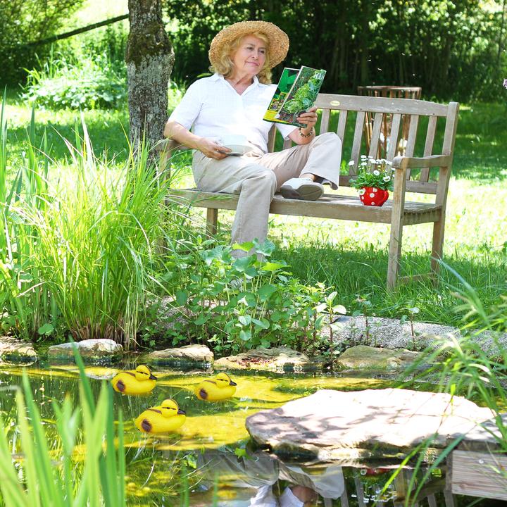 Produktbild Relaxdays Teichenten