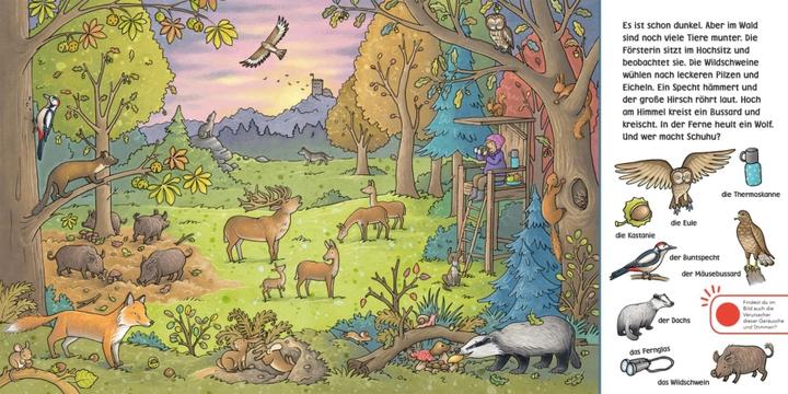 Image du produit Écoute (livre sonore) : Livre d'objets cachés : Forêt et prairie (Stéffie Becker, Julia Hofmann, Allemand)