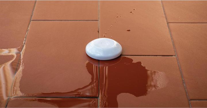 Productafbeelding Shelly Flood WiFi Overstroming & Temperatuursensor