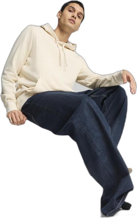 Image du produit Puma ESS Small No. 1 Logo Hoodie TR (s) (XXL)