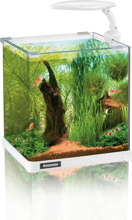 Amazonas Nano LED (10 l)