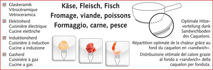 Immagine prodotto Koenig Set per fonduta Uno per tutti (Fondue di formaggio, Fondue Chinoise)