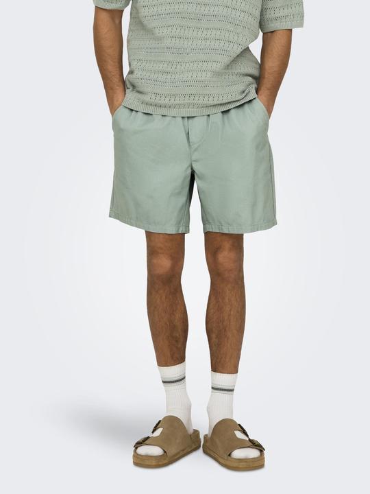 Produktbild Only & Sons ONSTEL Normal geschnitten Shorts Shorts (L)
