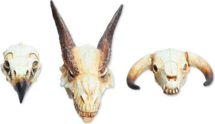 Produktbild Tabletop-Art Zubehör Monster Skull Set 3 Teile (Kunststoff)