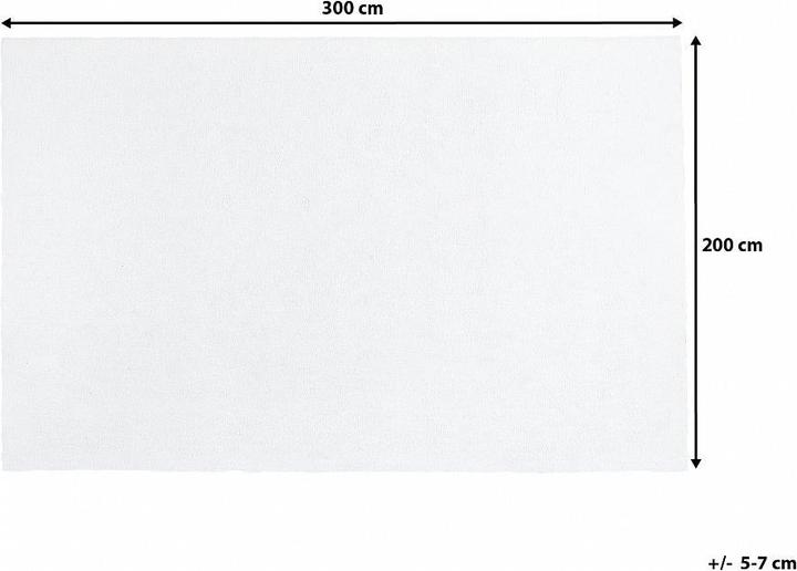 Image du produit Beliani Demre (200 x 300 cm)