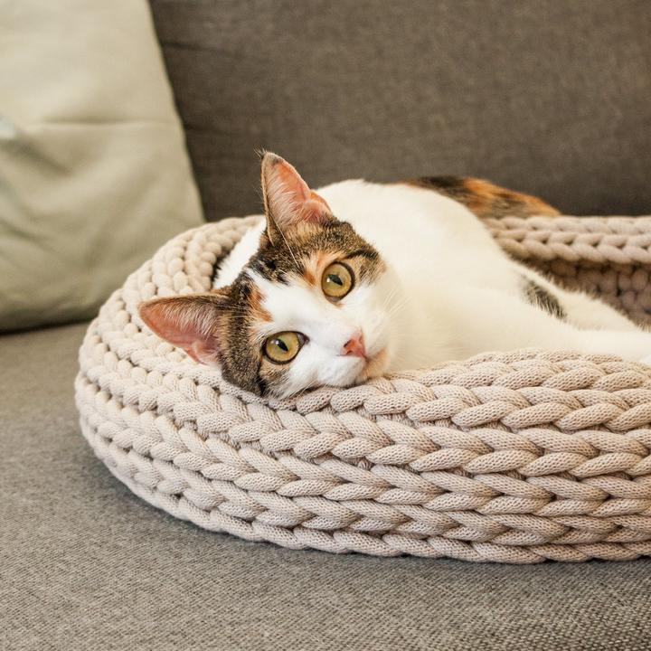 Actual product image LucyBalu BASKET Katzenbett (Cat)