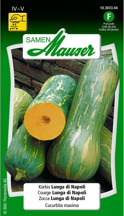 Kürbis Lunga di Napoli (Gemüsesamen)