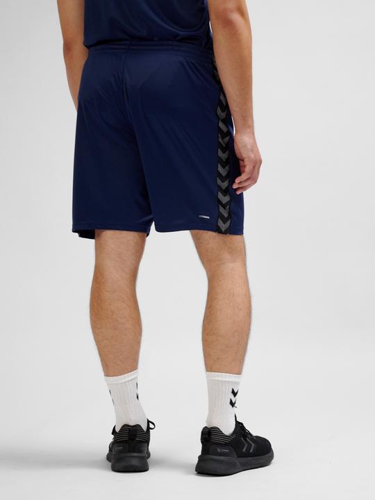 Image du produit hummel Hmlauthentic Pl Shorts (M)