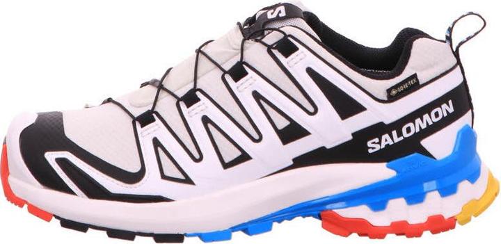 Image du produit Salomon XA Pro 3D V9 GTX (40)