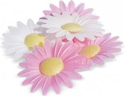 Immagine prodotto ScrapCooking Margherite (18 x)