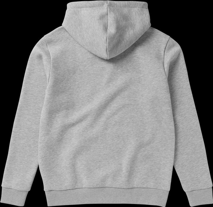 Actual product image Mystic Icon Hood Sweat (S)