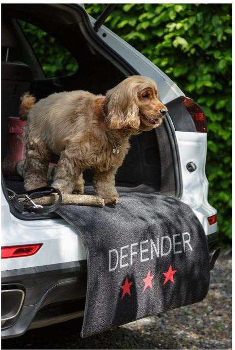 Actual product image Pet Rebellion Car Defender Carpet Protection - 100x155cm - (869165975190) (Dog)