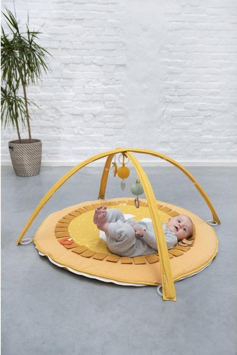 Produktbild Trixie Baby Activity Spielbogen