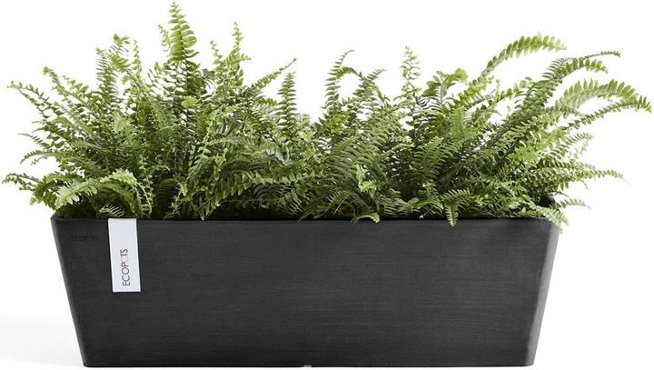Actual product image Ecopots Bruges (55 cm)