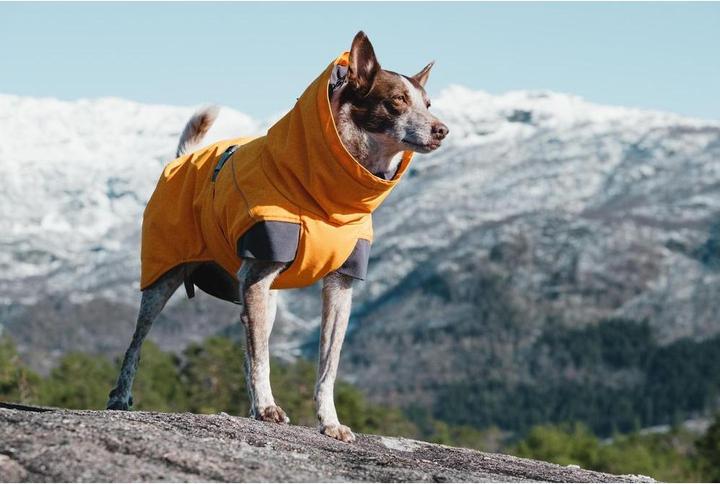 Actual product image Hurtta Expedition (25, XS, Dog coat)