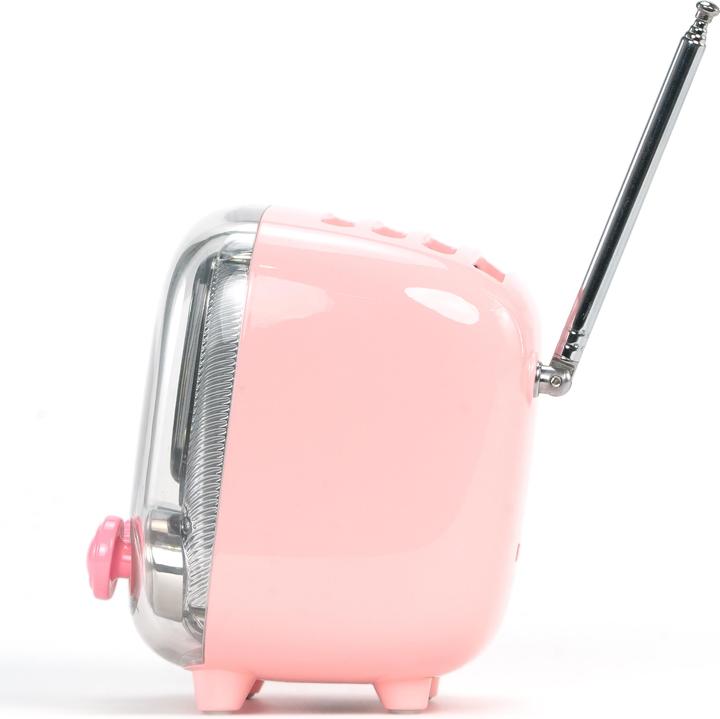 Produktbild Divoom Tiivoo-2 pink