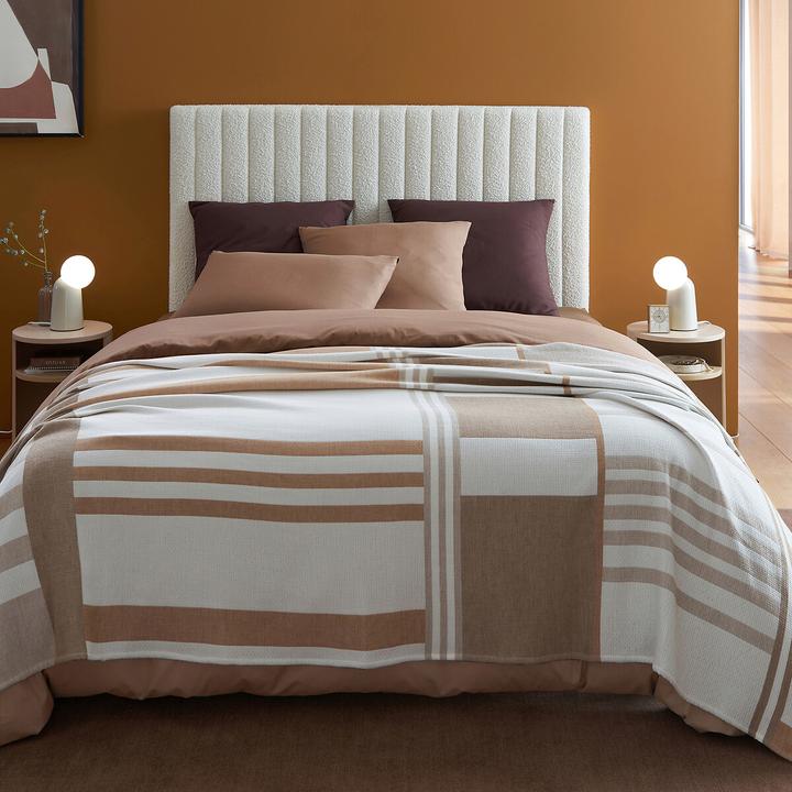 Image du produit La Redoute Interieurs Scenario Coton (63 x 63 cm)