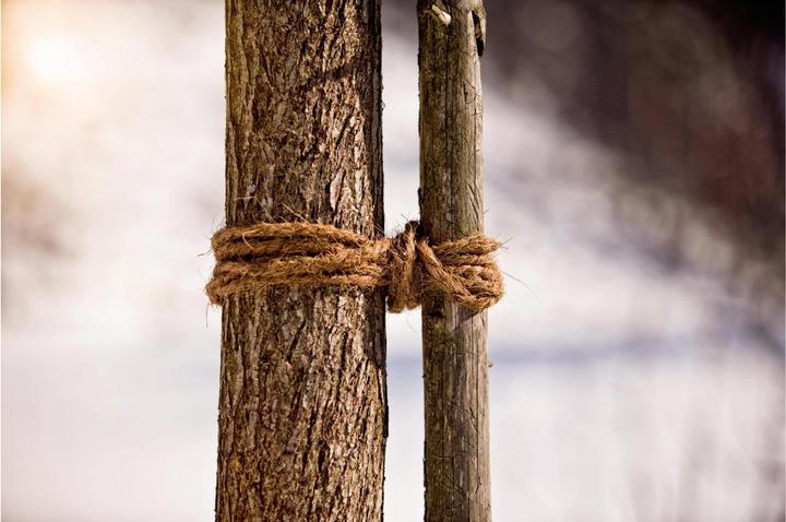 Immagine prodotto Windhager Cocco cravatta