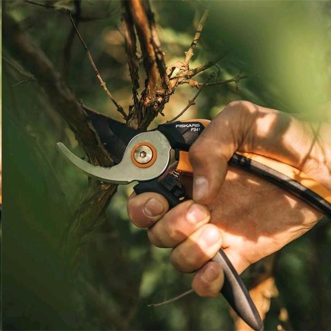 Actual product image Fiskars Solid bypass garden shears L P341