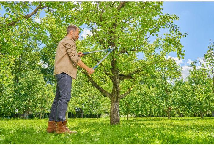 Actual product image Gardena Astschere EasyCut L