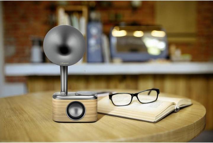 Image du produit Sangean CP 100D (DAB+ DAB, DAB, FM, Bluetooth)
