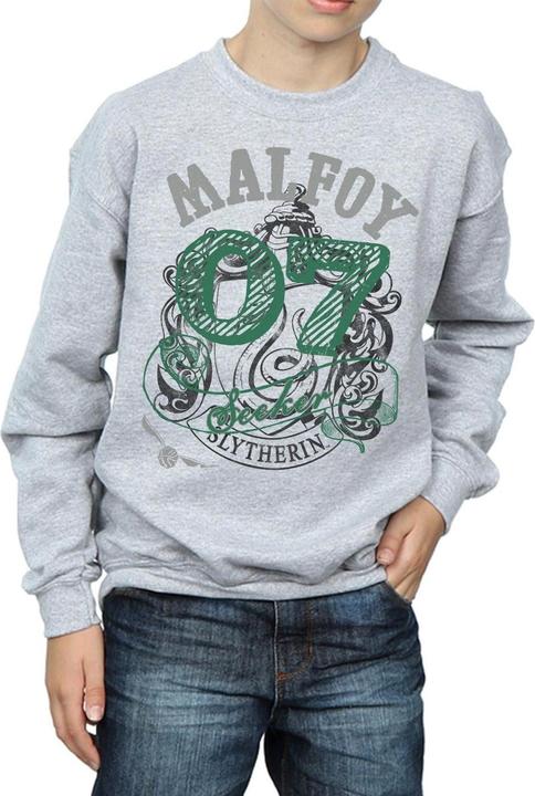 Image du produit - Sweat SEEKER - Garçon (140, 146)