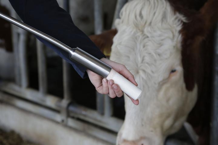 Immagine prodotto Magni Ket-o-Vital Bolus, bolo energetico, 4 boli per confezione