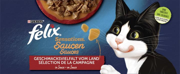 Actual product image Felix Sensation Sauces (Adult, 1 pcs., 1160 g)
