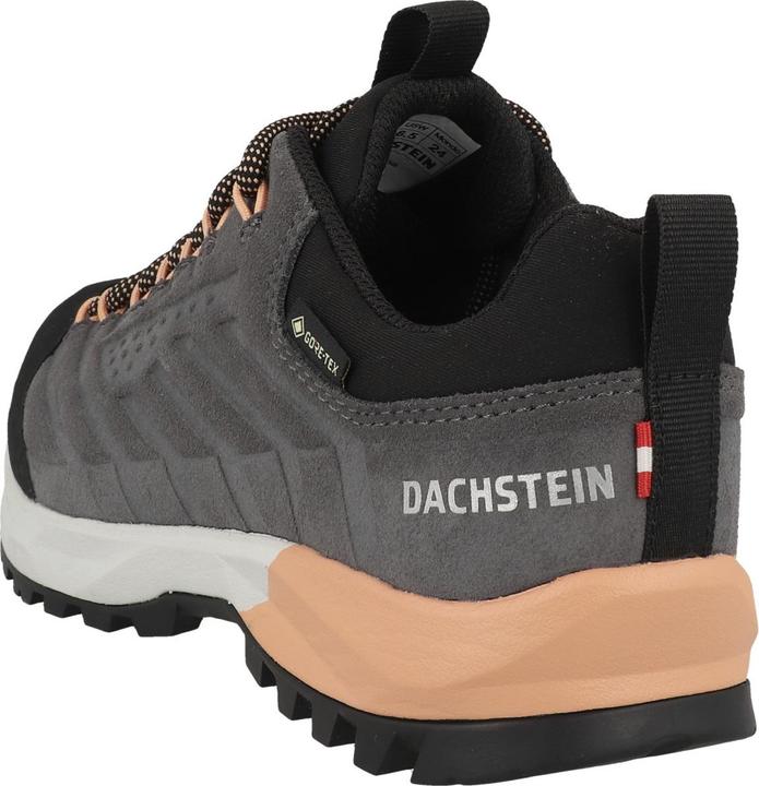 Image du produit Dachstein Femmes SF-21 GTX (42.5)