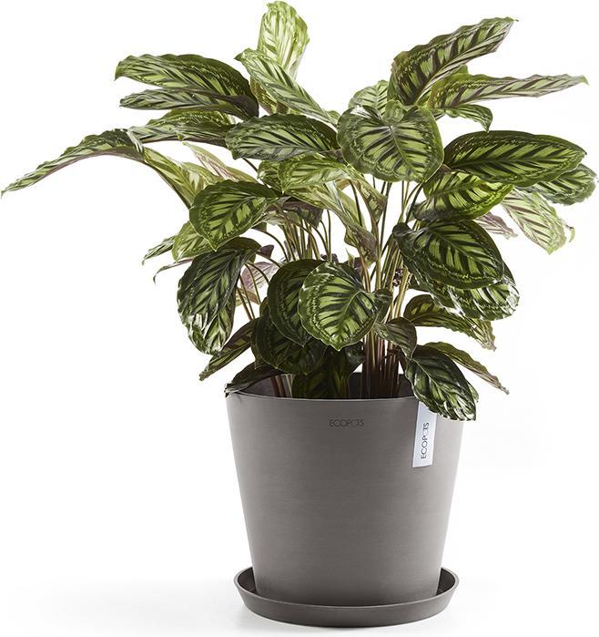 Actual product image Ecopots Saucer Round