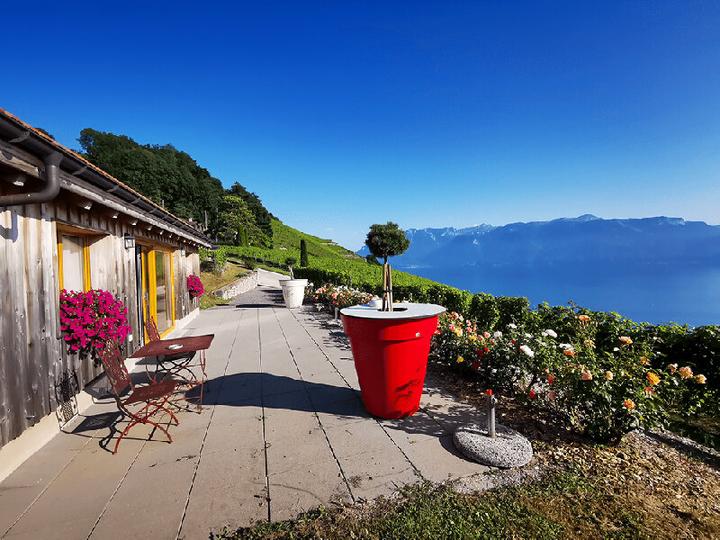 Image du produit Smartbox Cours d’oenologie et dégustation de 6 vins pour 2 dans un domaine classé par l'Unesco à Épesses (2 pers.)