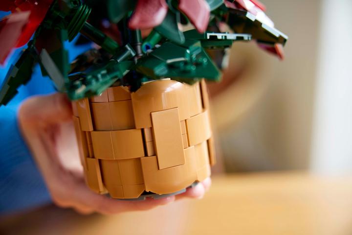 Produktbild LEGO Weihnachtsstern (10370, LEGO Icons)