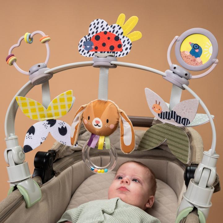 Actual product image Taf Toys Grow with me