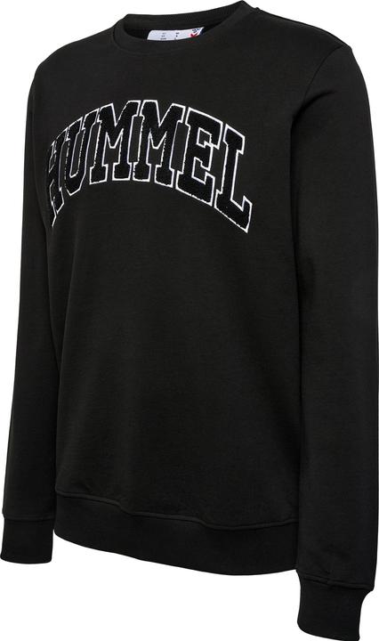 hummel hmlIC BILL SWEATSHIRT (M)