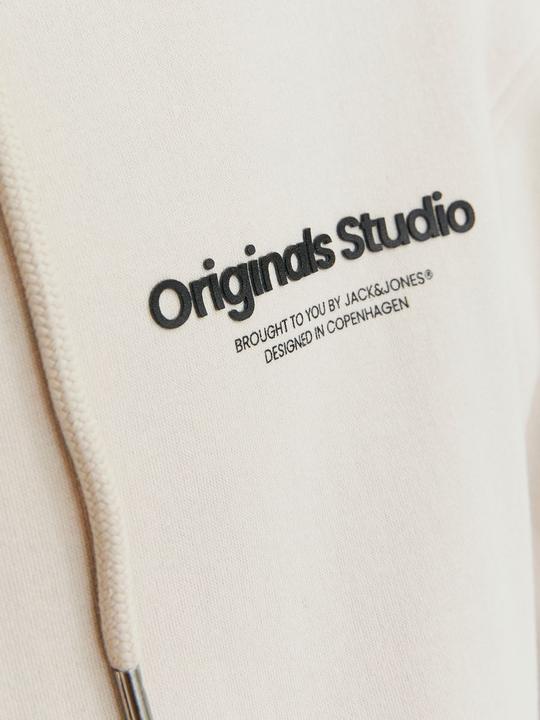 Actual product image Jack & Jones Sweat Hoodie with Zipper (XS)