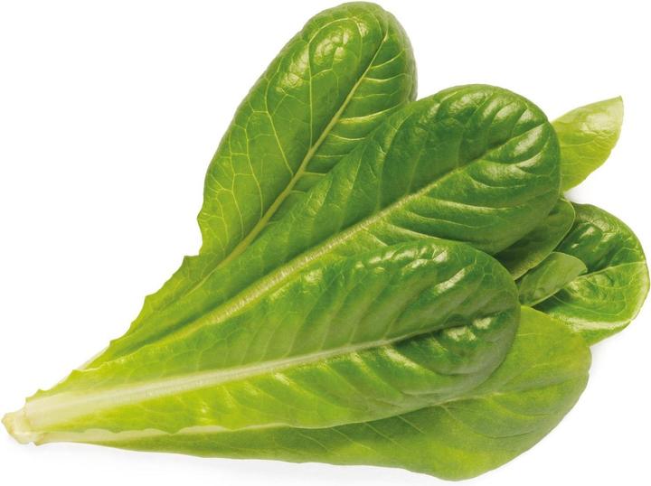 Produktbild Click and Grow Zugabe von Römersalat, 3 Stk (Keimlinge)