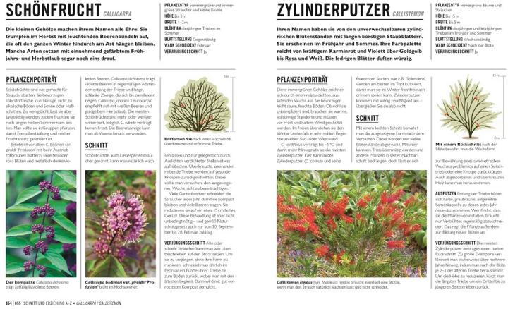 Immagine prodotto Grünes Gartenwissen. Pflanzen richtig schneiden (Tedesco, Stephanie Mahon, Reinhard Ferstl, Casa editrice DK, 2022)