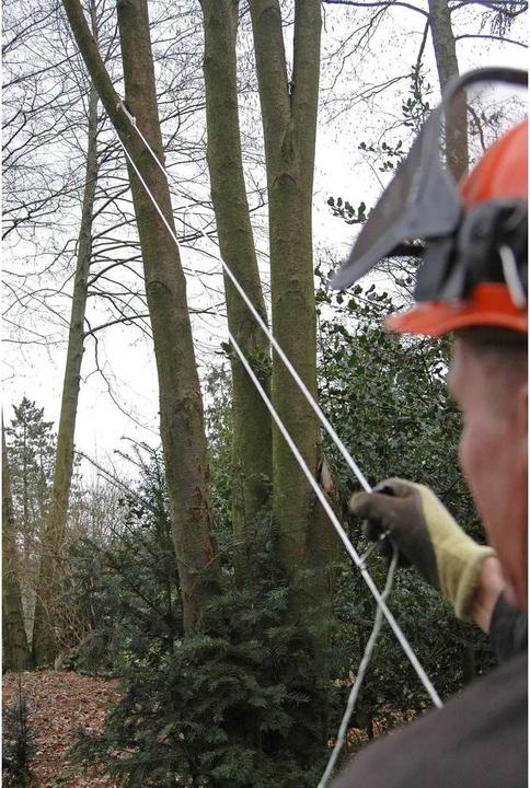 Actual product image RoNa Hand chainsaw Standard Plus-