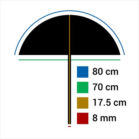 Image du produit Falcon Eyes Parapluie réflecteur UR-32SL Sunlight/Noir 80 cm (Réflecteur)