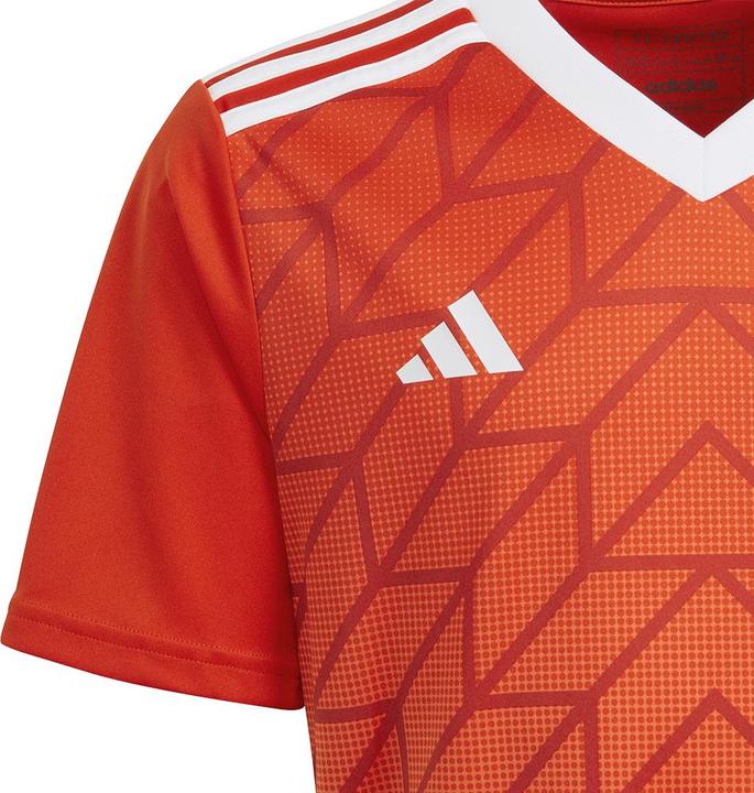 Produktbild adidas Team Icon 23 Trikot (152)