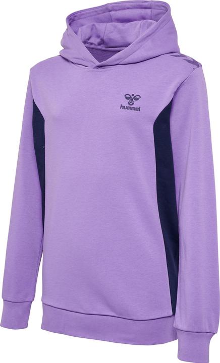Actual product image hummel Hmlstaltic Cotton Hoodie Kids (164)