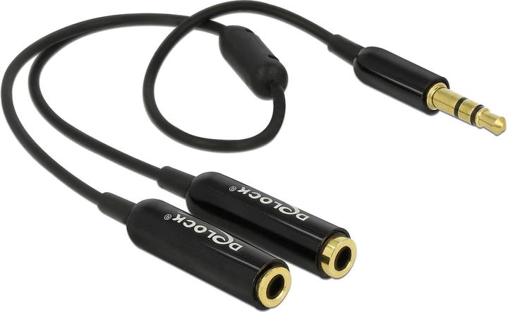 Delock 3.5mm – 2x 3.5mm (0.25 m, 3.5mm Klinke (AUX))