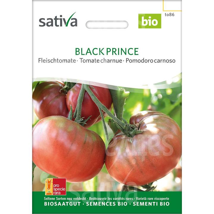 Image du produit Sativa Black Prince (Solanum lycopersicum) (Germe de bombe)
