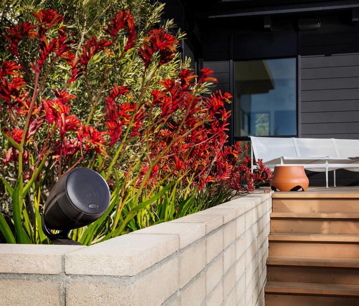 Immagine prodotto Polk ATRIUM 100SUBTE Home Audio Outdoor terracotta