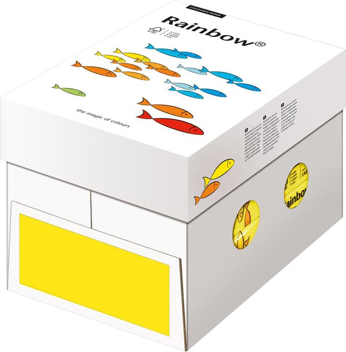 Image du produit Rainbow Papier à copier (80 g/m², 500 x, A4)
