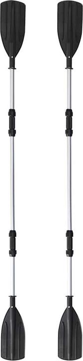 Actual product image Bestway Ventura X2 (2 pers.)